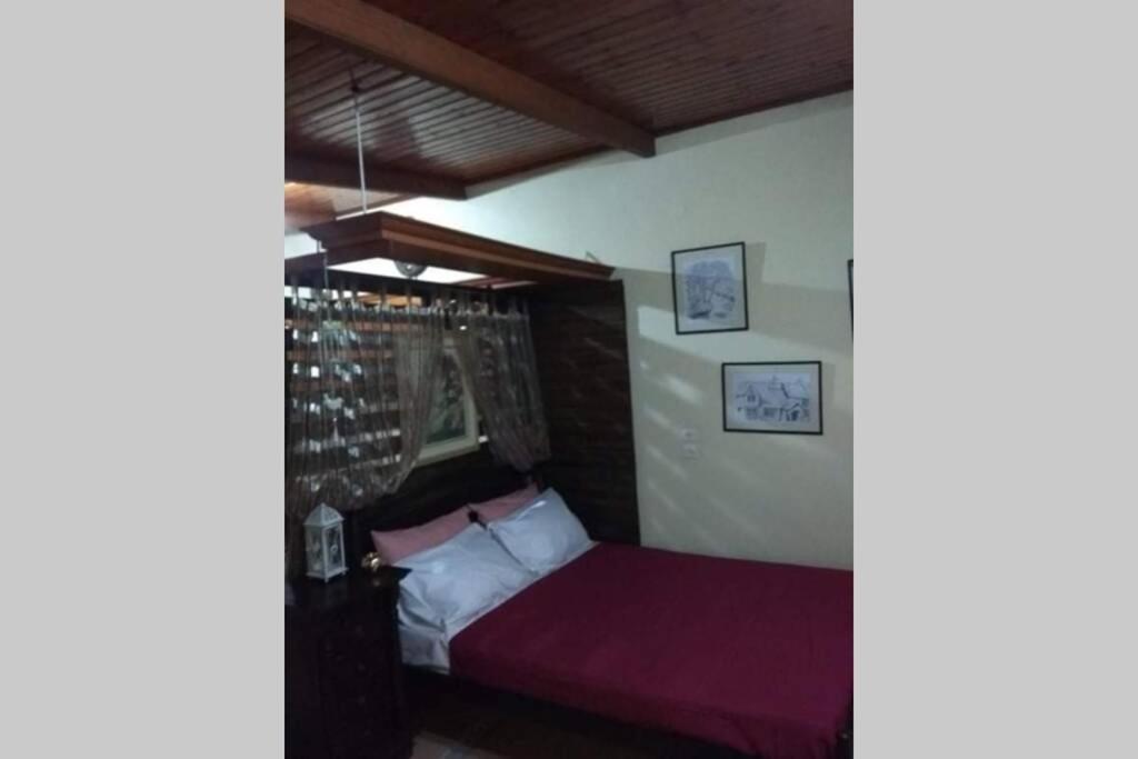 Green Hill Studio Corfu Town מראה חיצוני תמונה